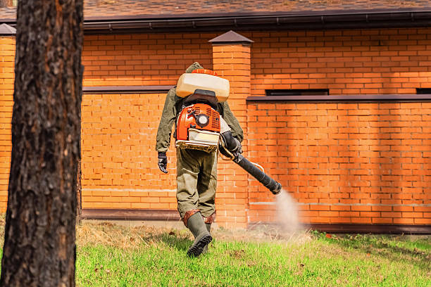 Bed Bug Clearance Verification and Documentation in Valley Falls